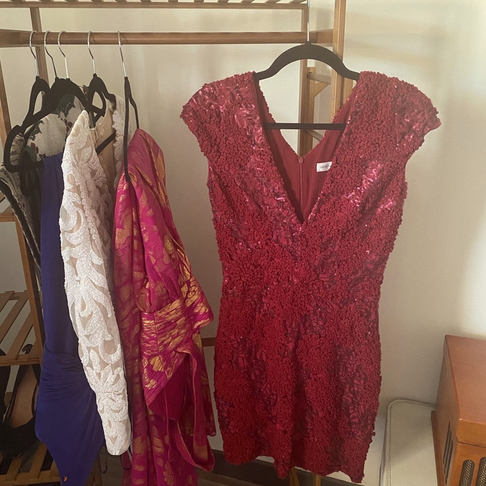 Dress the population red sequin dress